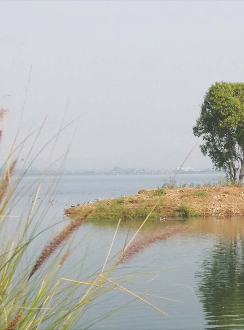 Green Warrior Booklet Page 46